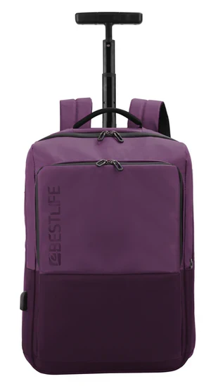 BESTLIFE BT-3401R-1-17 Trolley Laptop Backpack with Wheels, Travel Rolling Backpack with Telescopic Handle, Large Capacity Waterproof Business & Travel Bag, Fits up to 17” Laptop
